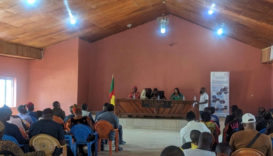 Bamenda I Council budget orientation